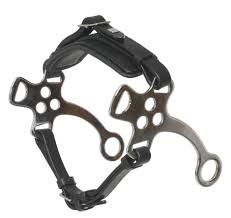 W-Hackamore